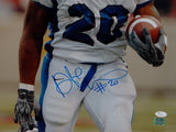 Deangelo Williams Autographed Memphis Tigers 16x20 Close Up Photo- JSA Auth *Blue