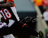 AJ Green Autographed Cincinnati Bengals 16x20 PF Photo Catch vs Bills- JSA W Auth *White
