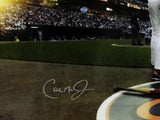 Cal Ripken Jr Autographed 16x20 Field View *Silver Photo- JSA W Authenticated