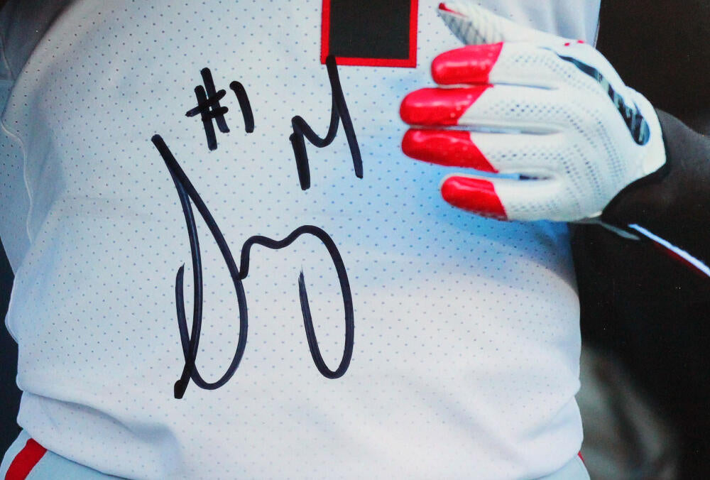 Sony Michel/Nick Chubb Autographed Georgia Bulldogs Side By Side Close –  The Jersey Source