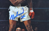 Muhammed Ali Autographed 8x10 Photo Standing Over Sonny Liston- Beckett Letter *Blue Image 2