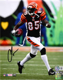 Chad Johnson Autographed Cincinnati Bengals 8x10 Running Photo- Beckett W Holo