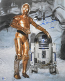 Anthony Daniels Autographed 16x20 Star Wars C-3PO Cave Photo - Beckett W Holo