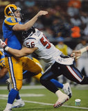 Brian Cushing Autographed 16x20 Tackling Rams QB Photo- JSA Authenticated