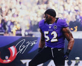 Ray Lewis Signed Baltimore Ravens 16x20 In Purple Jersey PF Photo- Beckett Auth