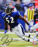 Ray Lewis Signed Ravens 8x10 HM Running Purple Jersey Photo - Beckett W Auth