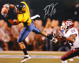 DeSean Jackson Autographed 16x20 Catch Against Texas A&M Photo- JSA W Auth