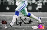 Dak Prescott Autographed Dallas Cowboys 8x10 B&W Looking to Pass Photo JSAW Auth