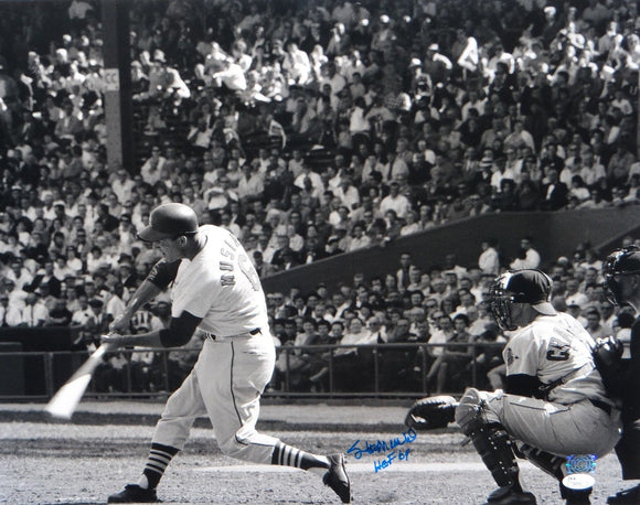 Stan Musial Autographed 16x20 B&W Swinging Photo- JSA Authenticated